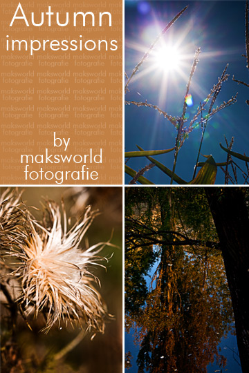 Autumn impressions | Fotoshooting by maksworld fotografie Basel / Oberwil (Fotograf Marcel König)