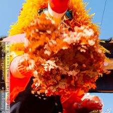 Basler Fasnacht (Cortége) | Fotoshooting by maksworld fotografie Basel/Oberwil (Fotograf: Marcel König)