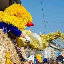 Basler Fasnacht (Cortége) | Fotoshooting by maksworld fotografie Basel/Oberwil (Fotograf: Marcel König)