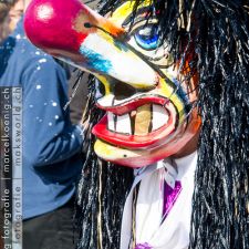 Basler Fasnacht (Cortége) | Fotoshooting by maksworld fotografie Basel/Oberwil (Fotograf: Marcel König)