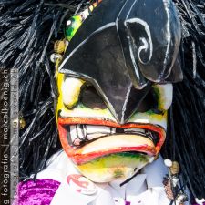 Basler Fasnacht (Cortége) | Fotoshooting by maksworld fotografie Basel/Oberwil (Fotograf: Marcel König)