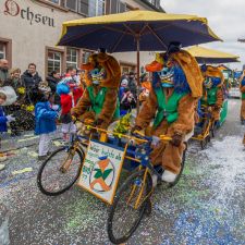 Oberwiler Fasnacht (Strassenfasnacht) | Fotoshooting by maksworld fotografie Basel/Oberwil (Fotograf: Marcel König)